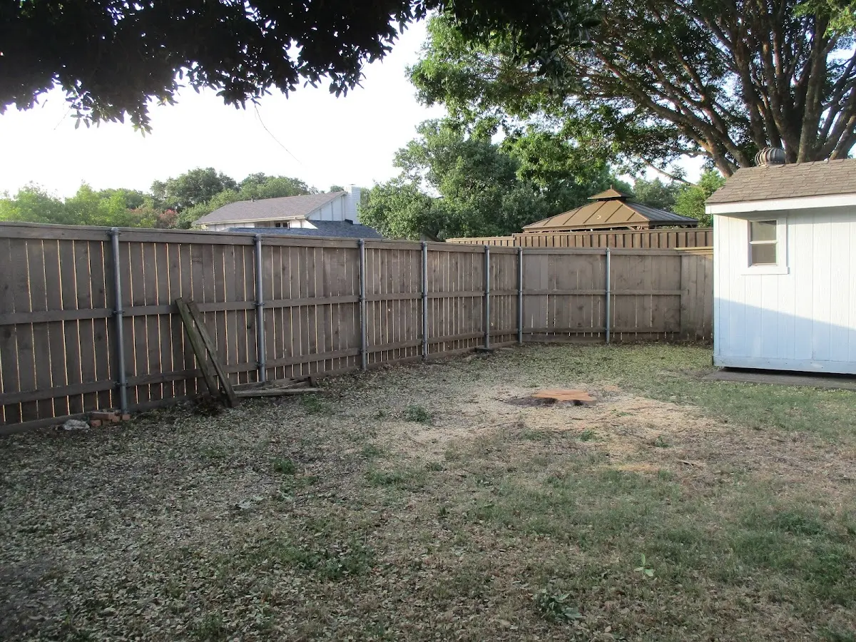 Cleared yard after professional tree removal in Hostetter